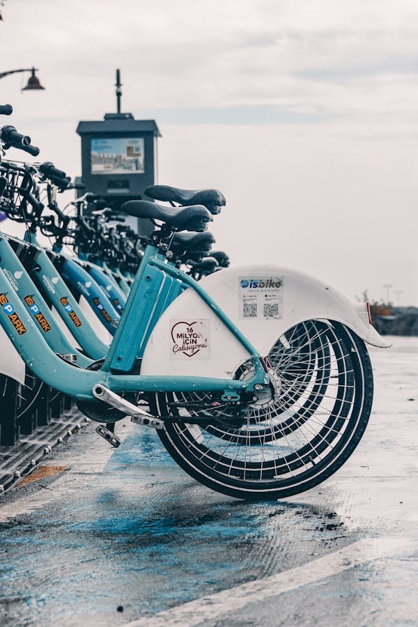 Location de vélos à Marseille : les meilleures options à explorer